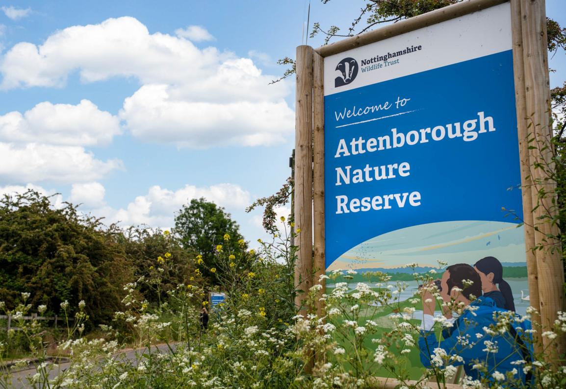 Nottingham nature reserve