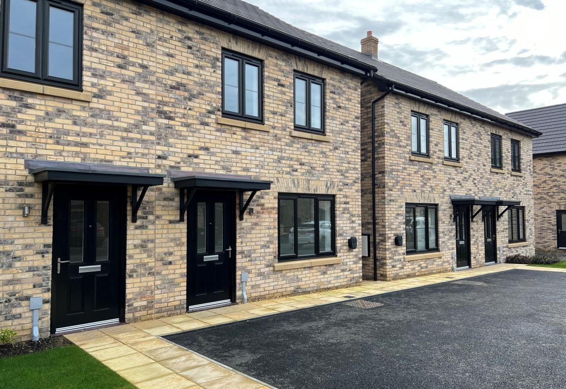 The Holly at Cotterstock Meadows