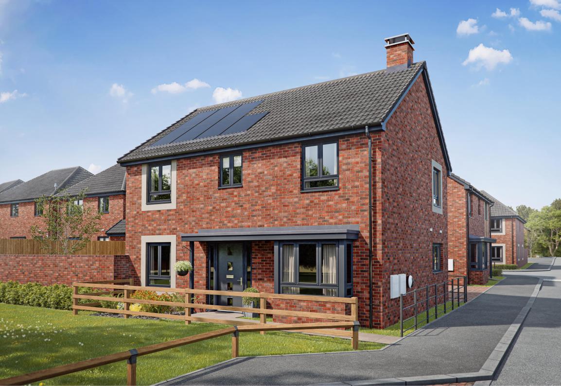 Type The Primrose - Plot 6-min.jpg