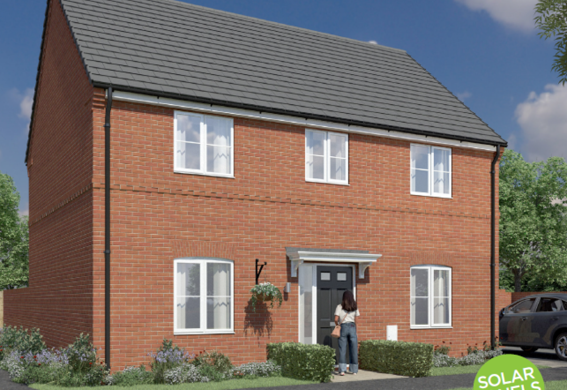 The Ribble - The Sycamores