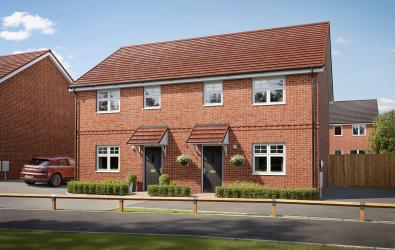 The Draper (Dunnock).jpg