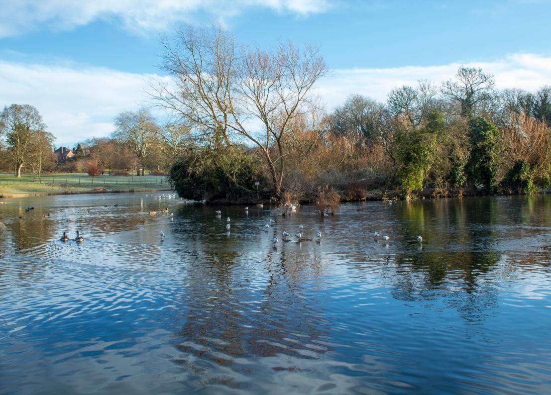 Abington Park in Northampton