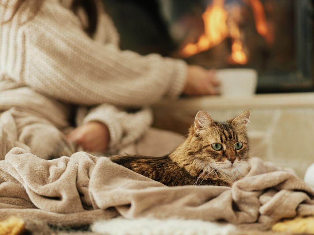 Winter at Home